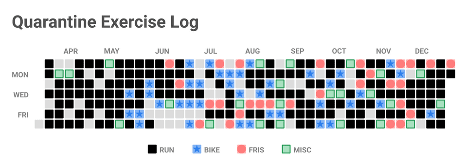 exercise log